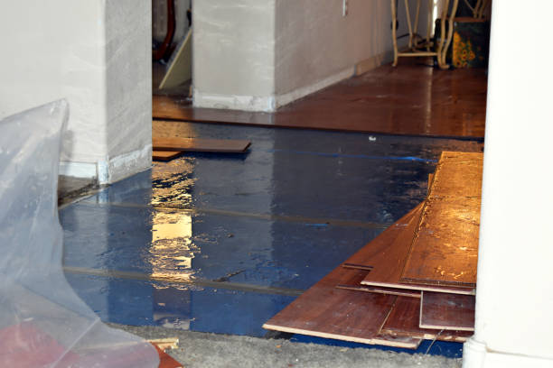 Professional Emergency Water Damage Restoration technician working in Pikeville, NC