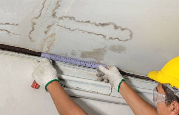 Reliable Emergency Water Damage Restoration contractor in Pikeville, NC by Water Damage Irwin